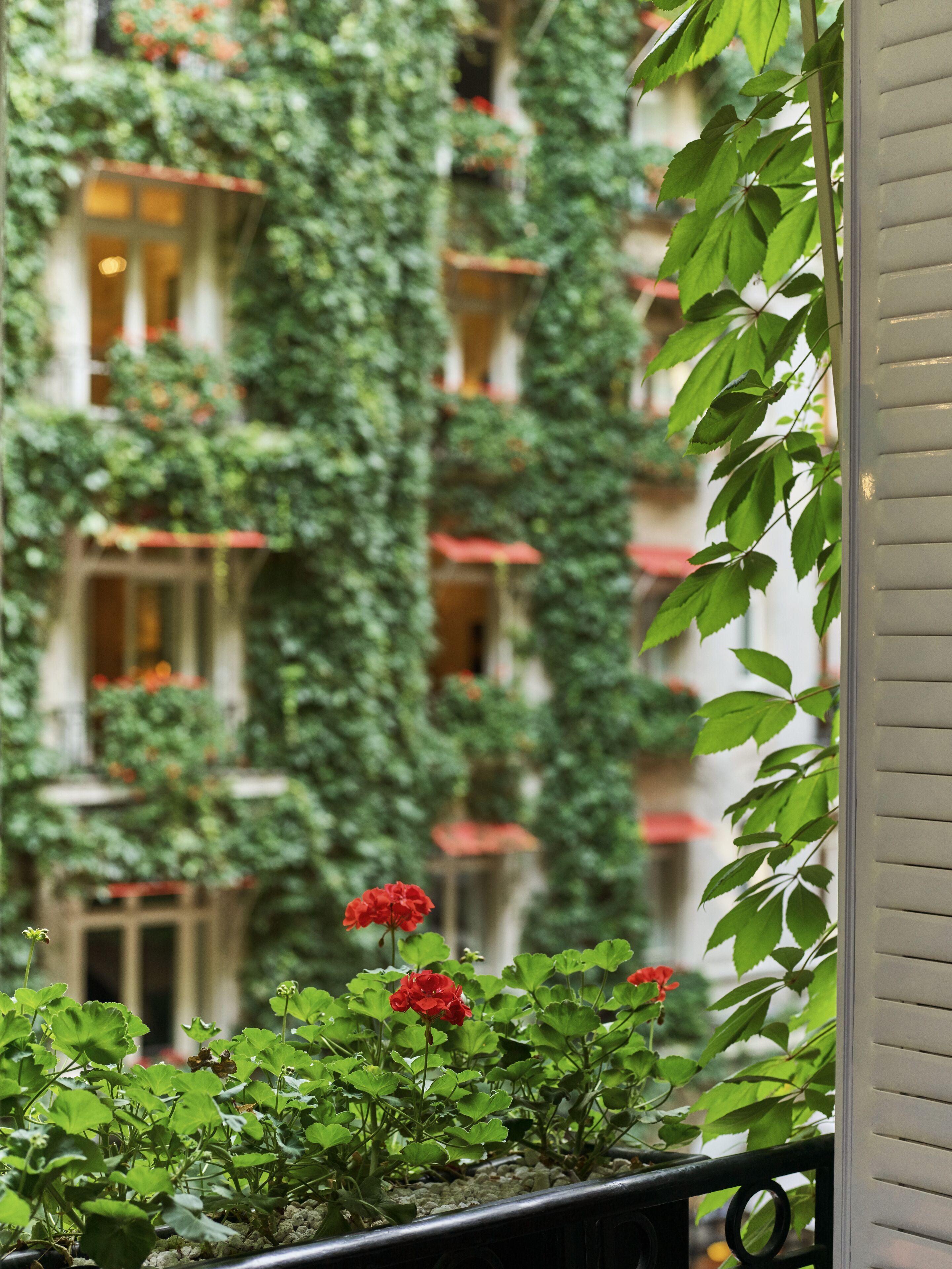 Plaza Athénée - Dorchester Collection 5*
